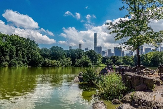 Laghetto di Central Park, Manhattan