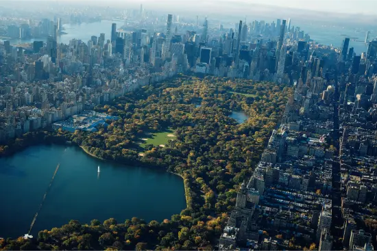 Central Park in autunno con alberi e sentieri