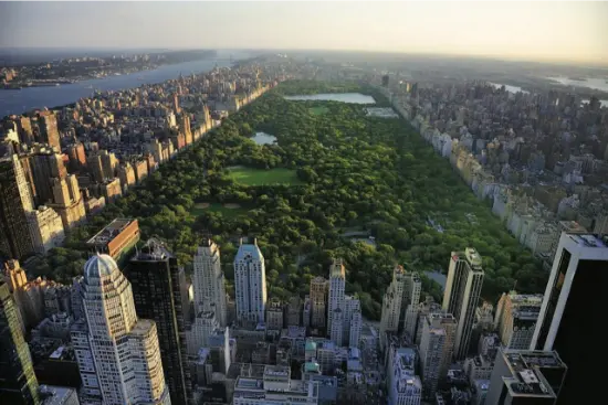 Skyline di New York incorniciato dai colori dell’autunno